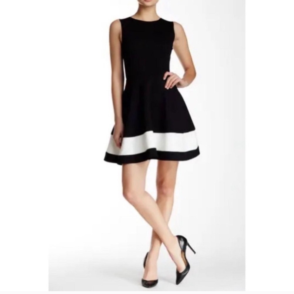 love…ady Colorblock Hem Fit & Flare Dress Size XS. Like New.